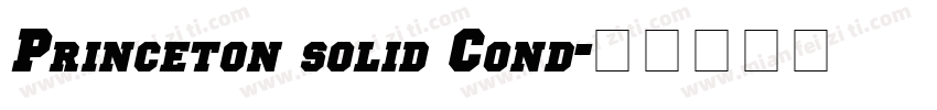 Princeton solid Cond字体转换